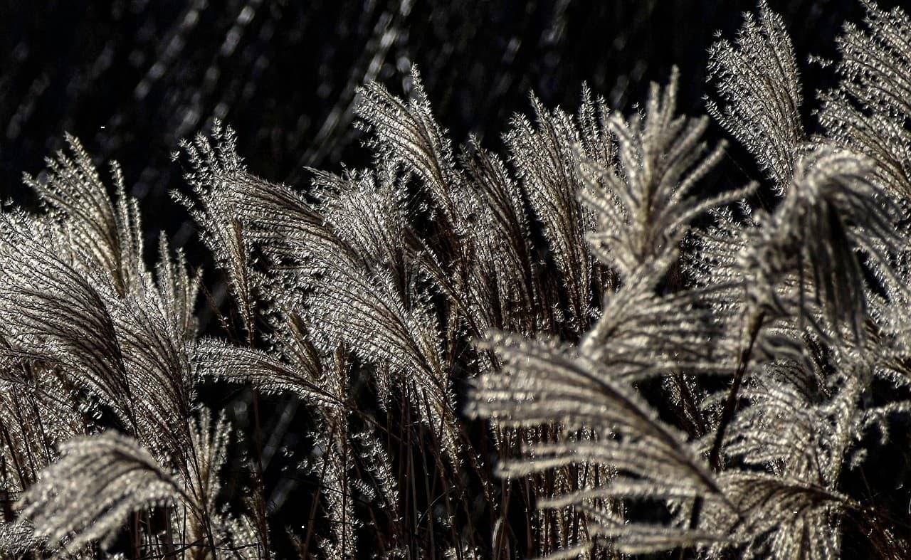 Товар в отличном состоянии #115