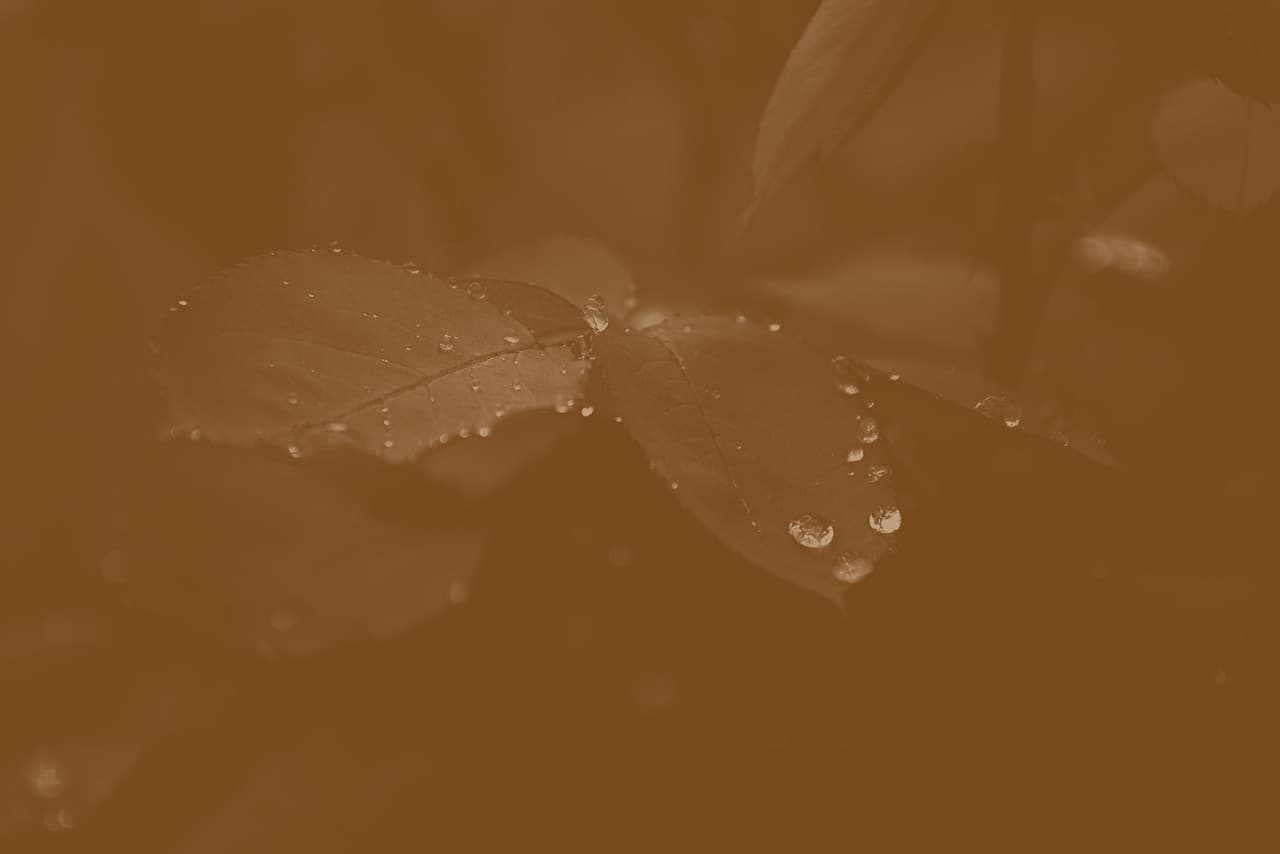 Товар в отличном состоянии #118