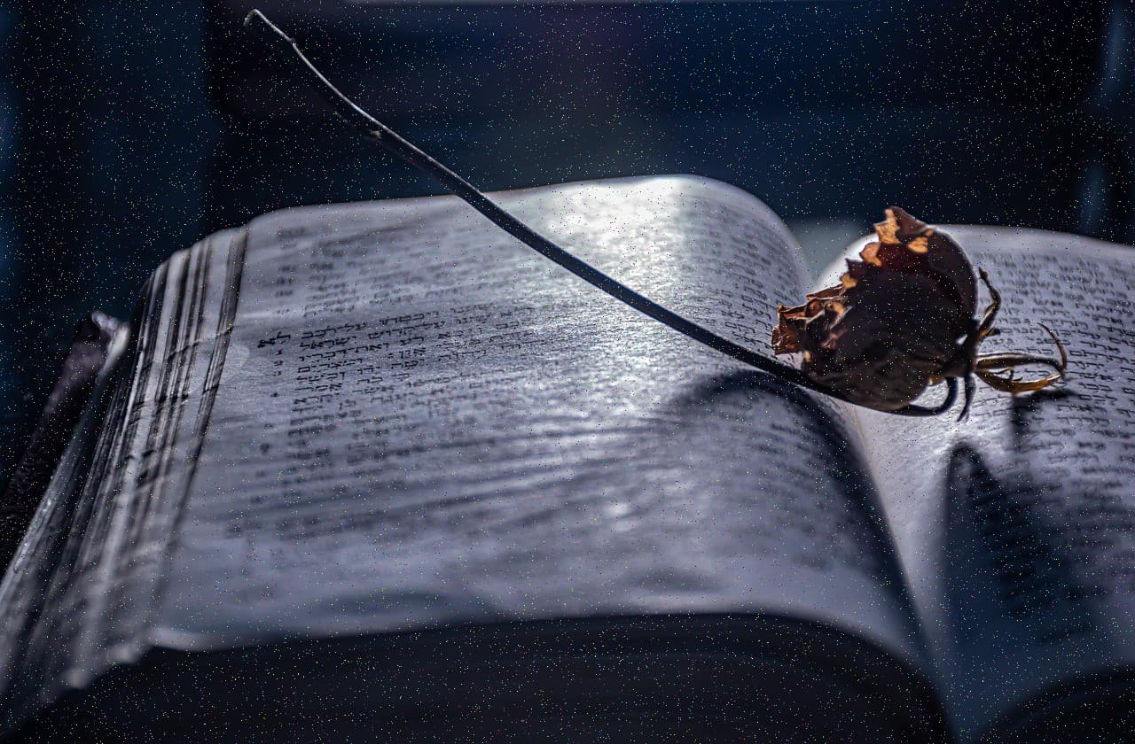 Новинка в нашем магазине #157