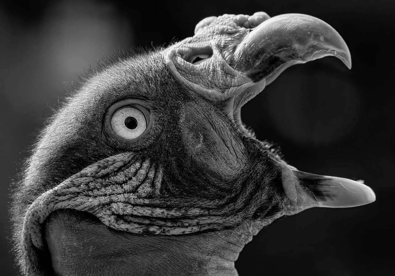 Товар в отличном состоянии #158