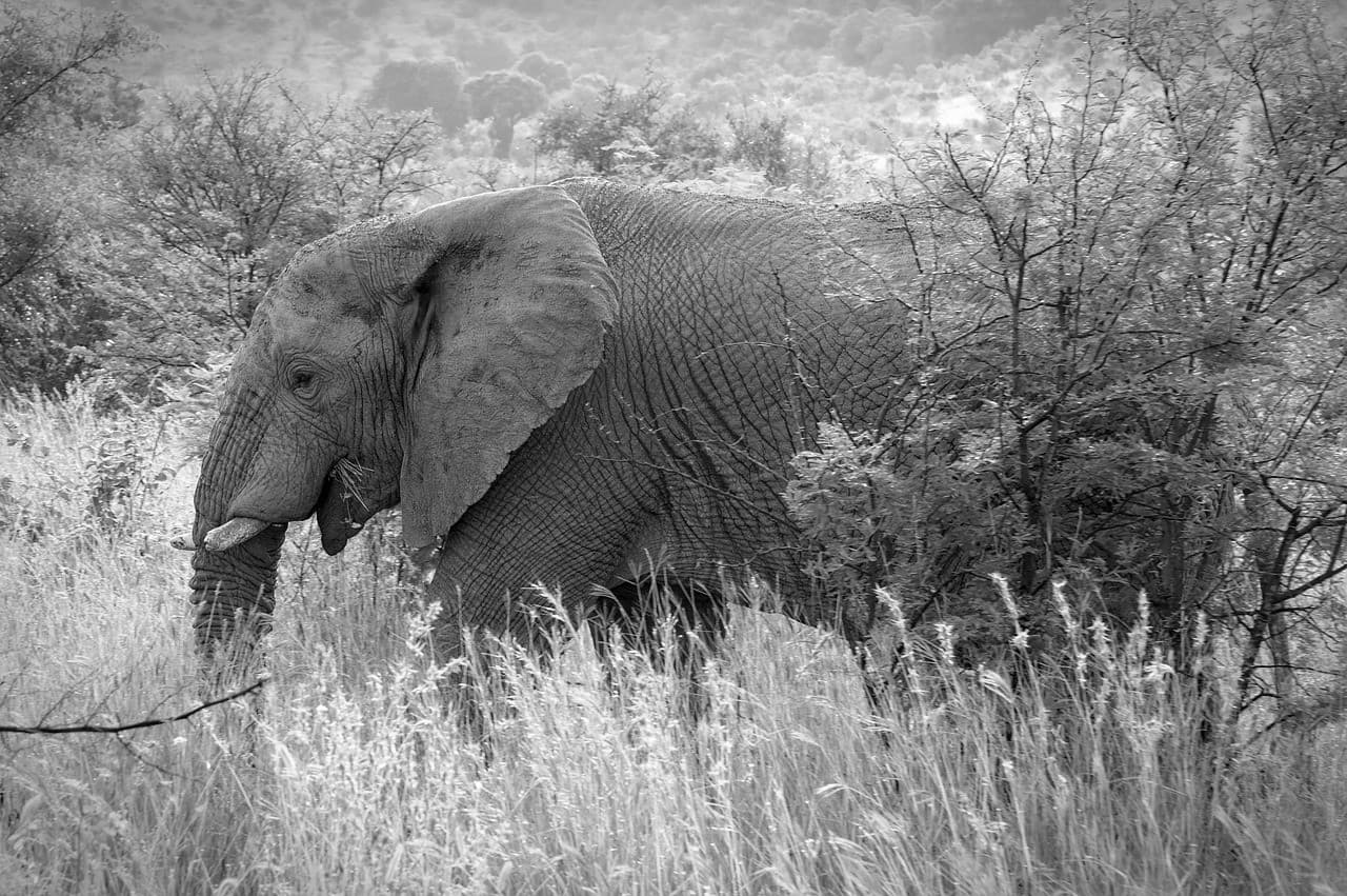 Дом 6 соток, 5 комнат, Мирзо-Улугбекский р-н #196