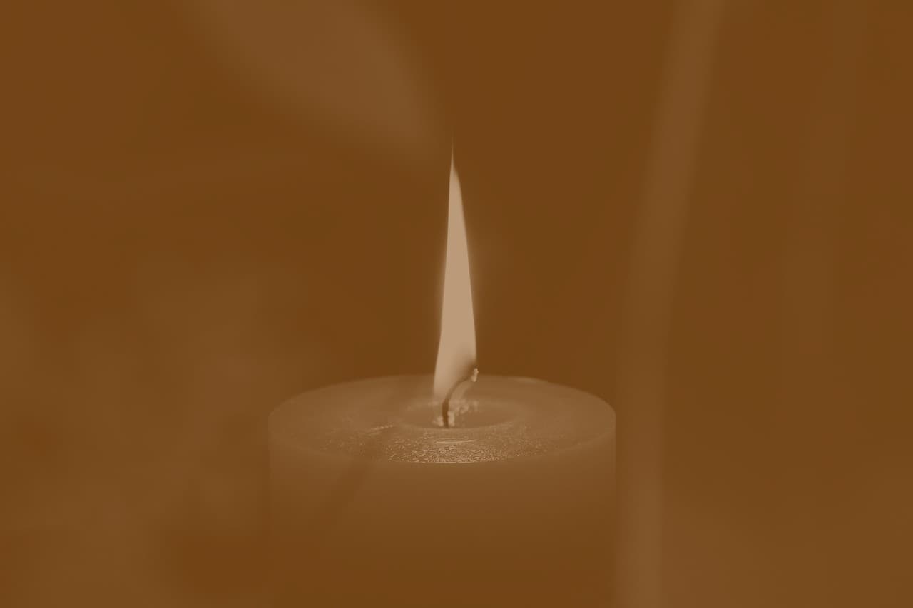 Новинка в нашем магазине #237