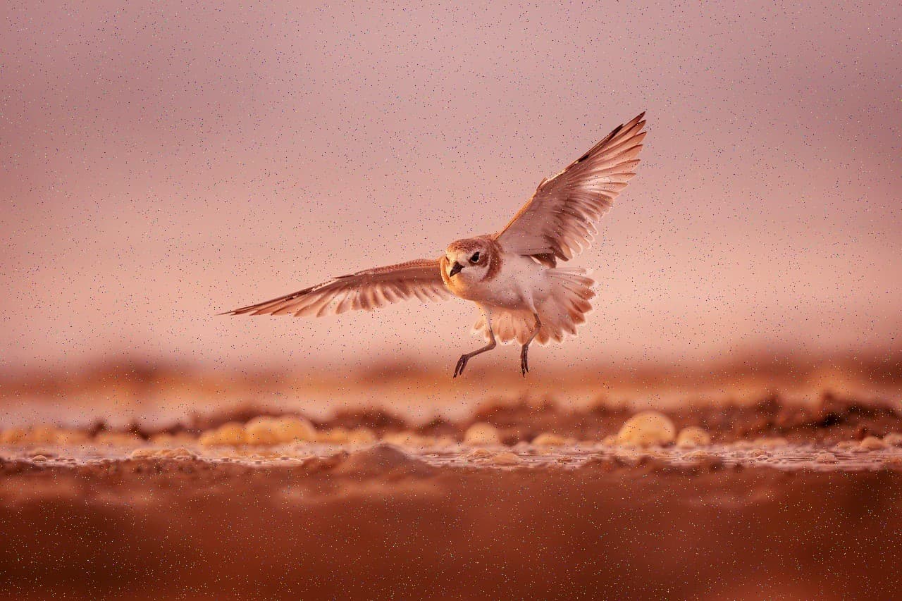 Срочно продам, цена снижена #256