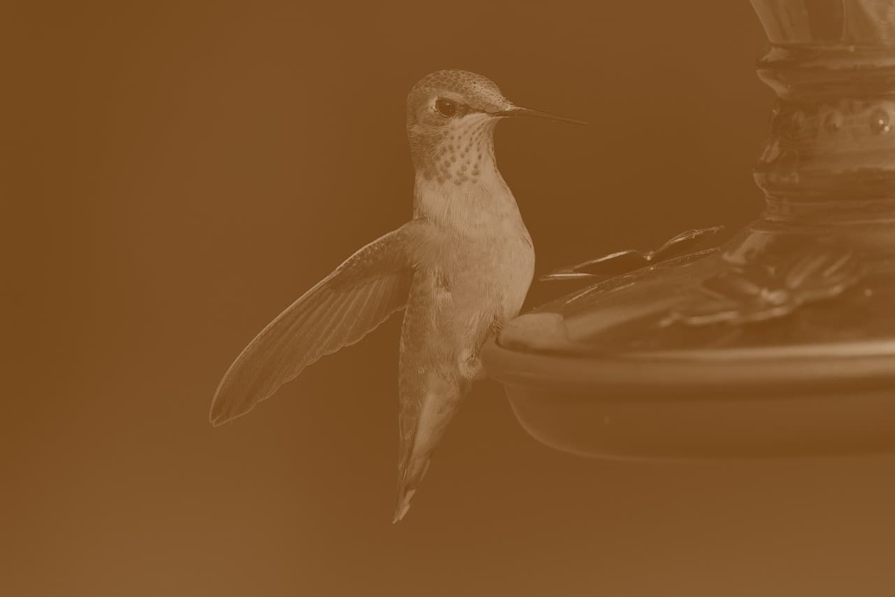 Новинка в нашем магазине #277