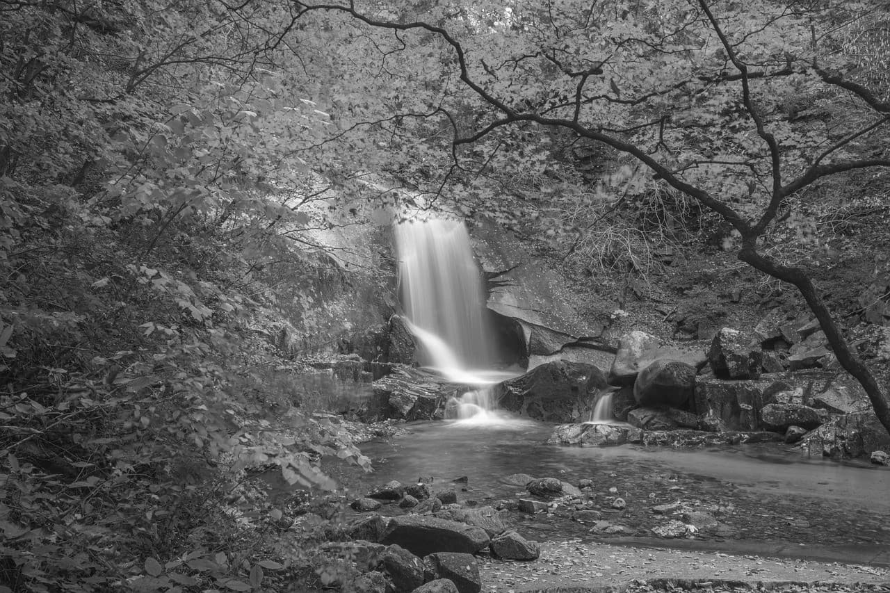 Kia K5 2022 черный металлик #295