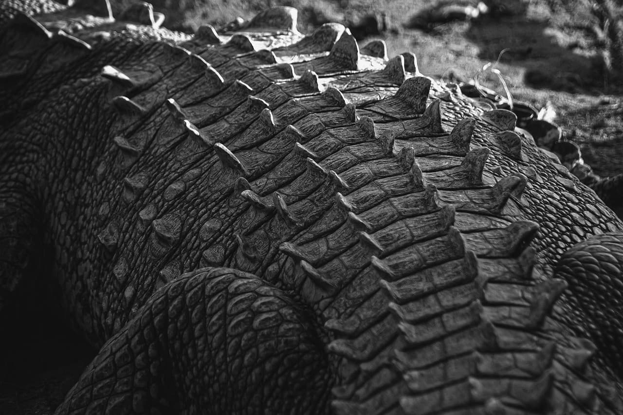 Срочно продам, цена снижена #336