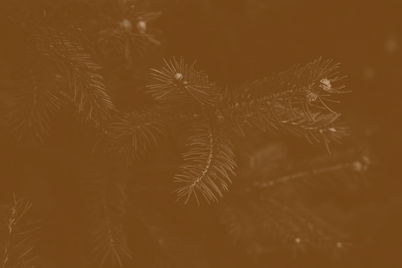 Товар в отличном состоянии #355