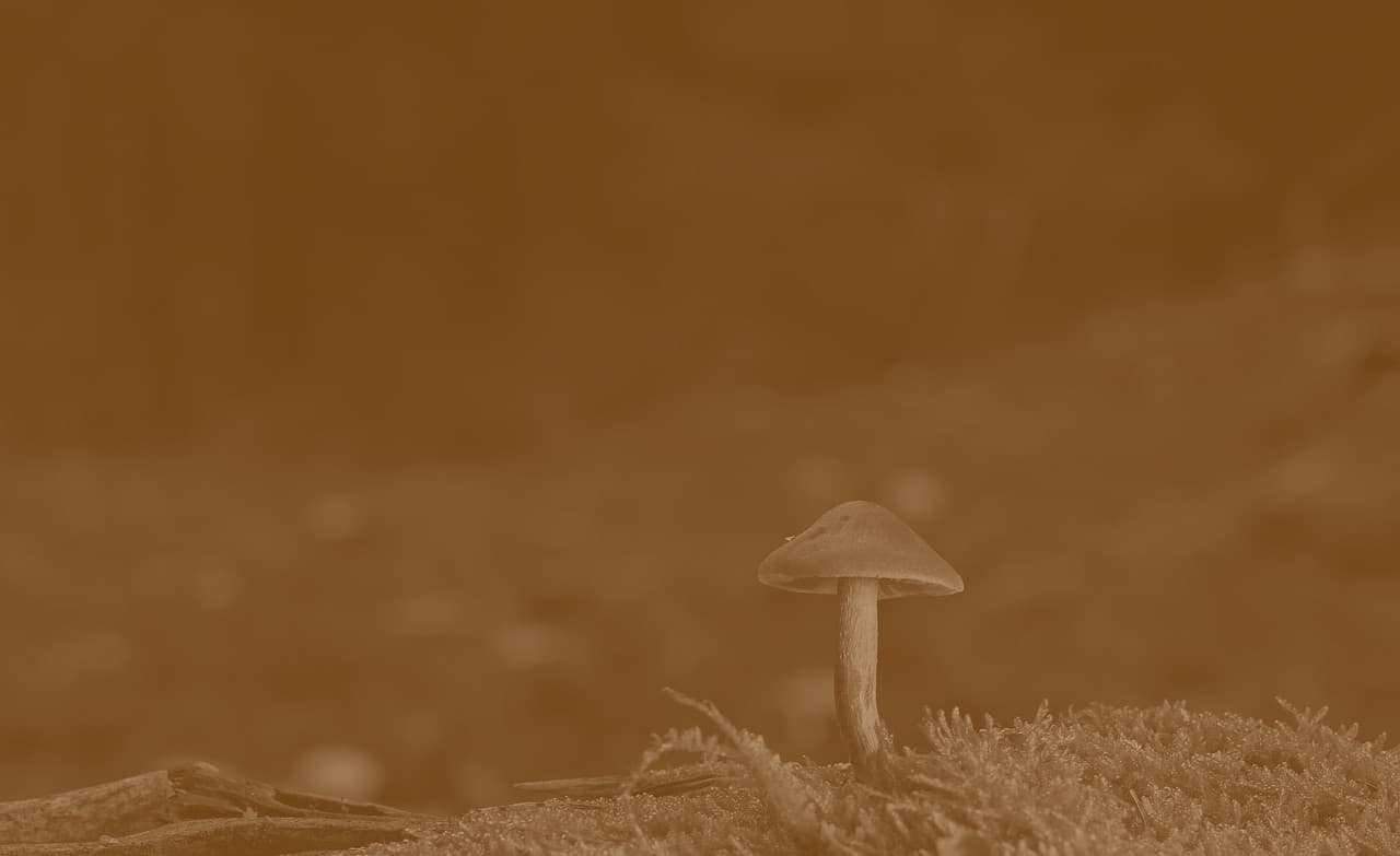 Срочно продам, цена снижена #356