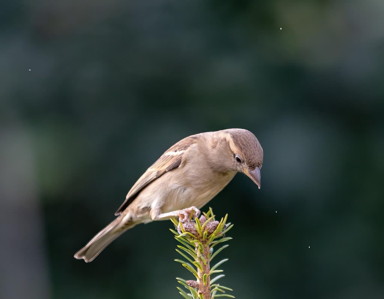 Новинка в нашем магазине #357