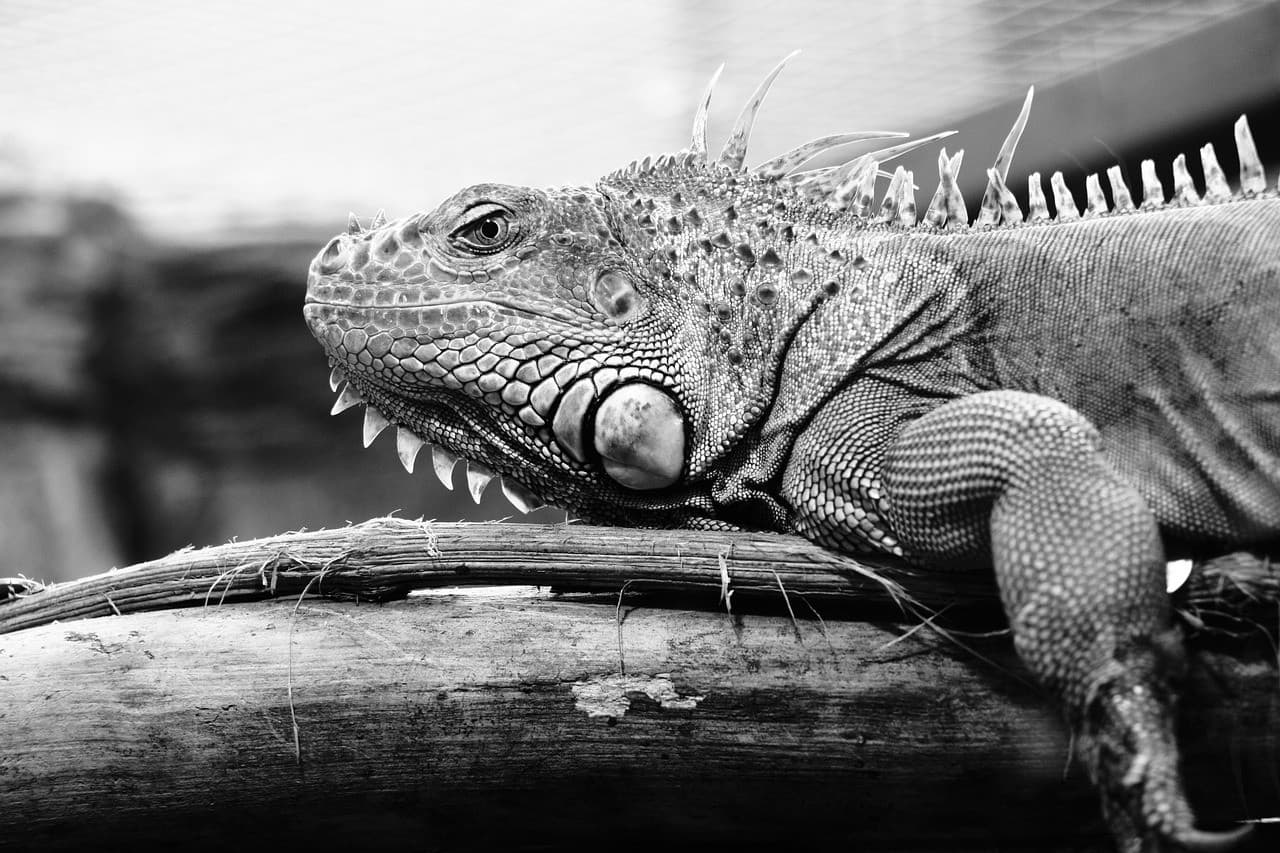 Новинка в нашем магазине #377