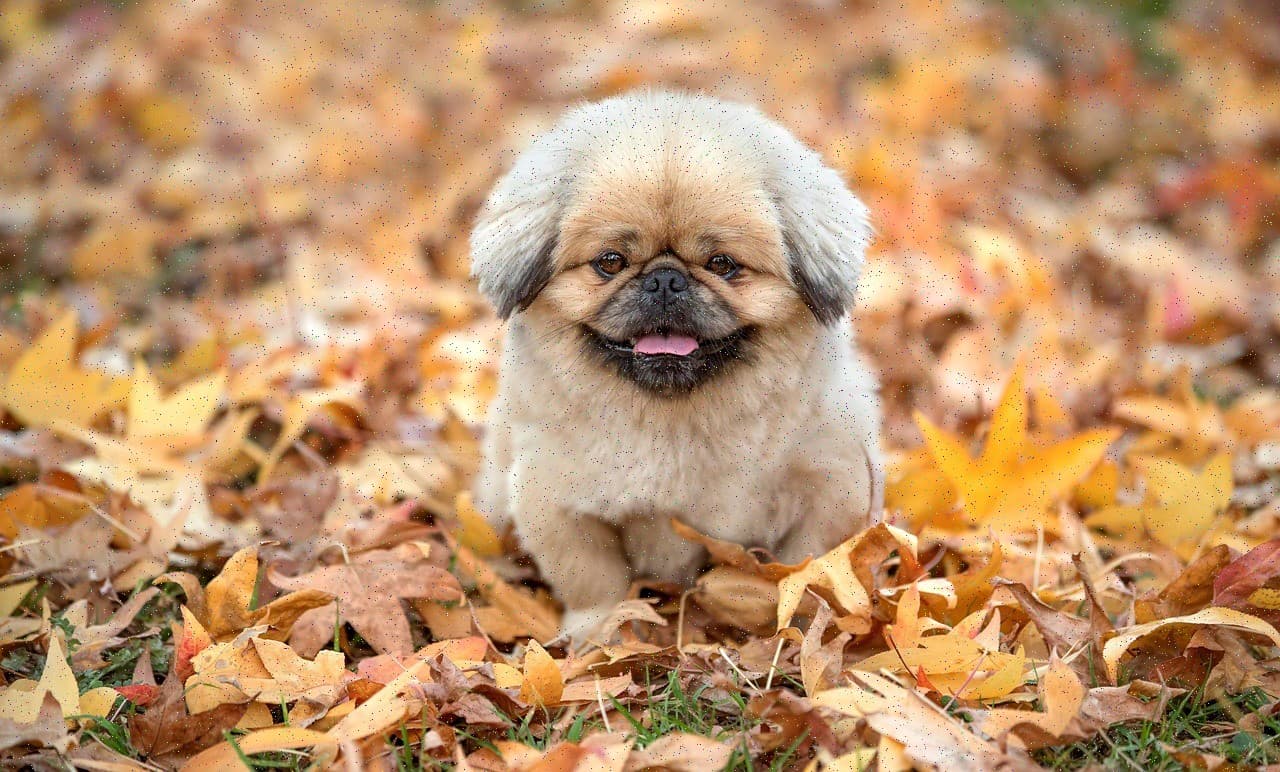 Товар в отличном состоянии #378