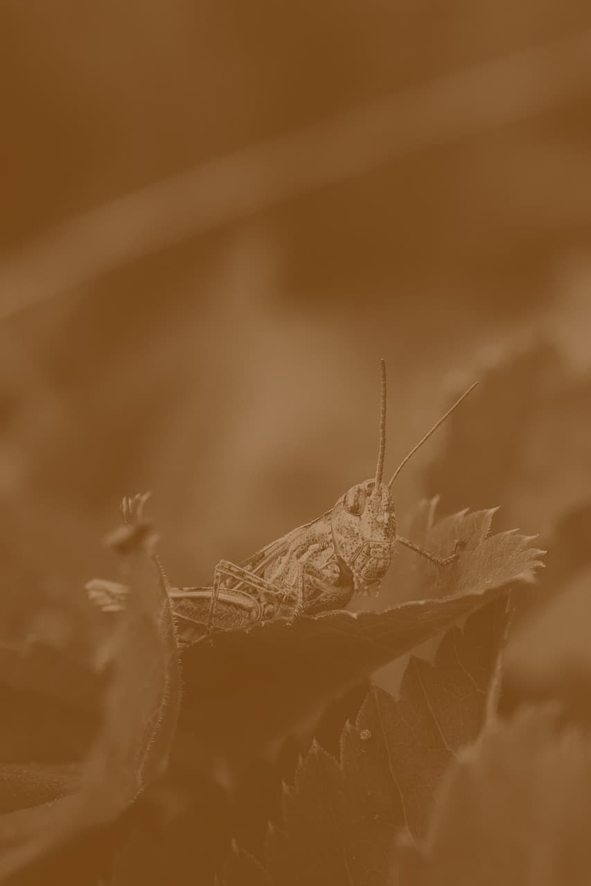 Срочно продам, цена снижена #379