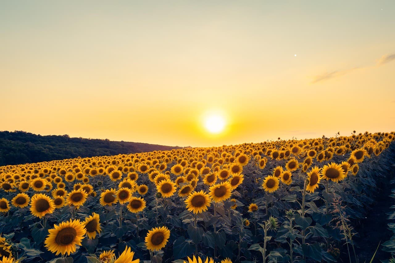 Новинка в нашем магазине #397