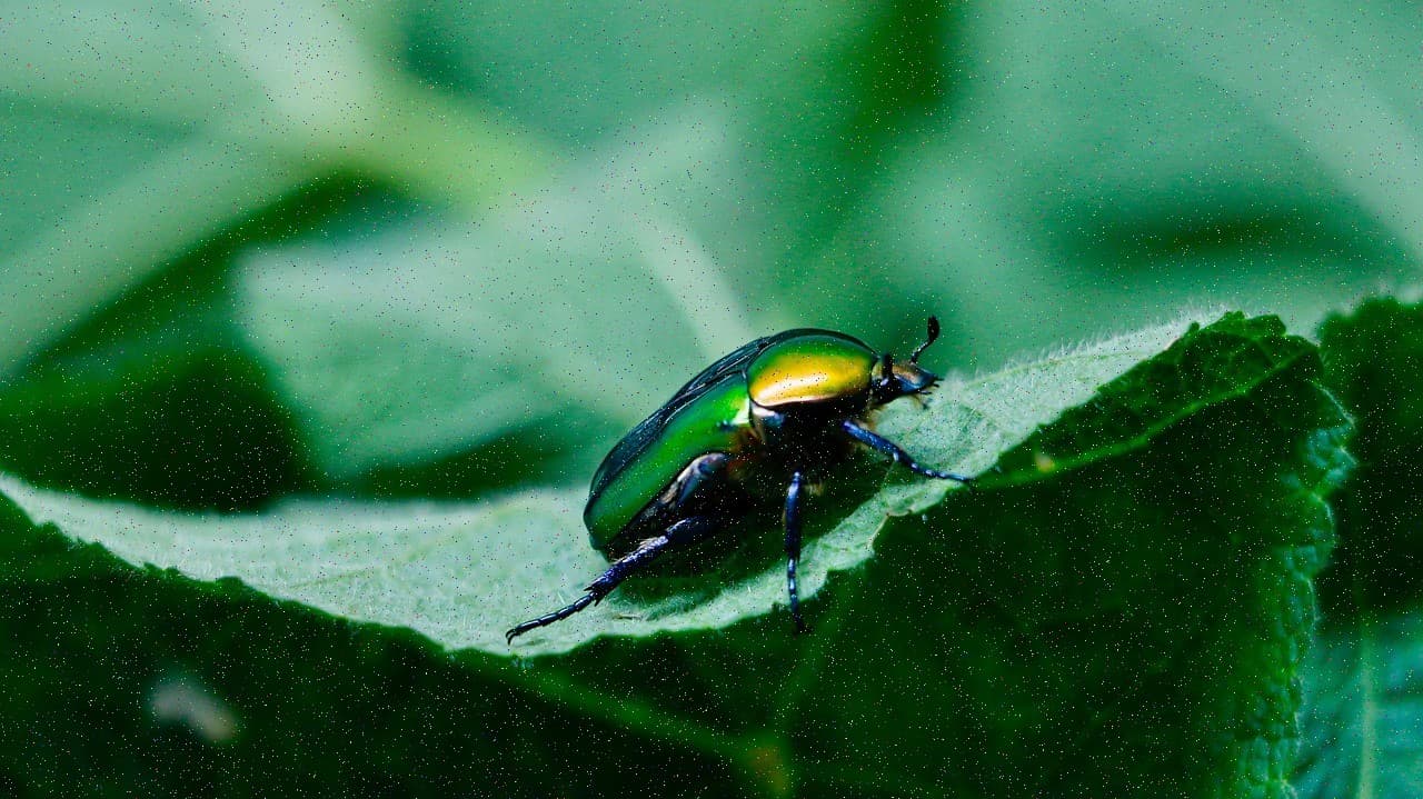 iPhone 15 Pro Max 256GB Natural Titanium #436