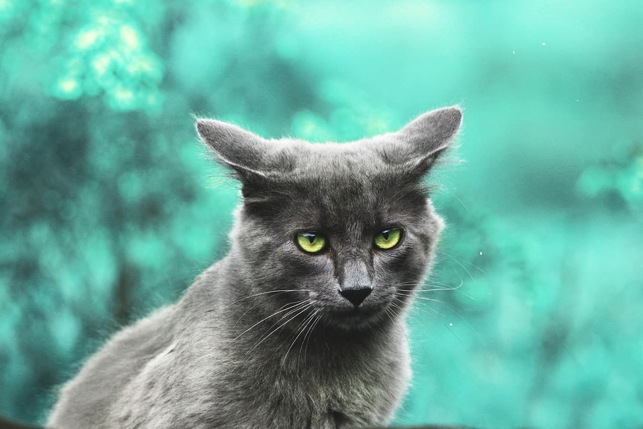 iPhone 15 Pro Max 256GB Natural Titanium #439