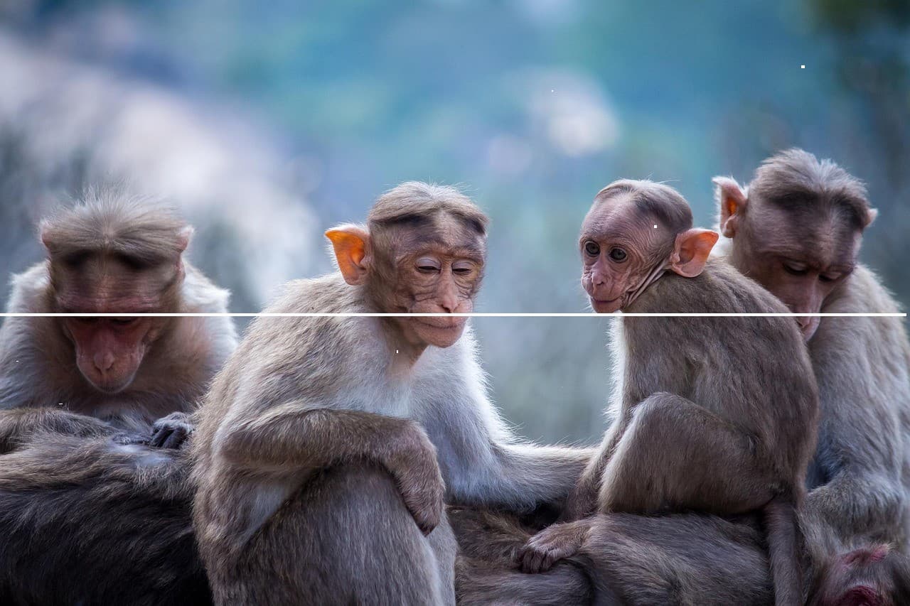 MacBook Pro 14 M3 Max 32GB/1TB #451