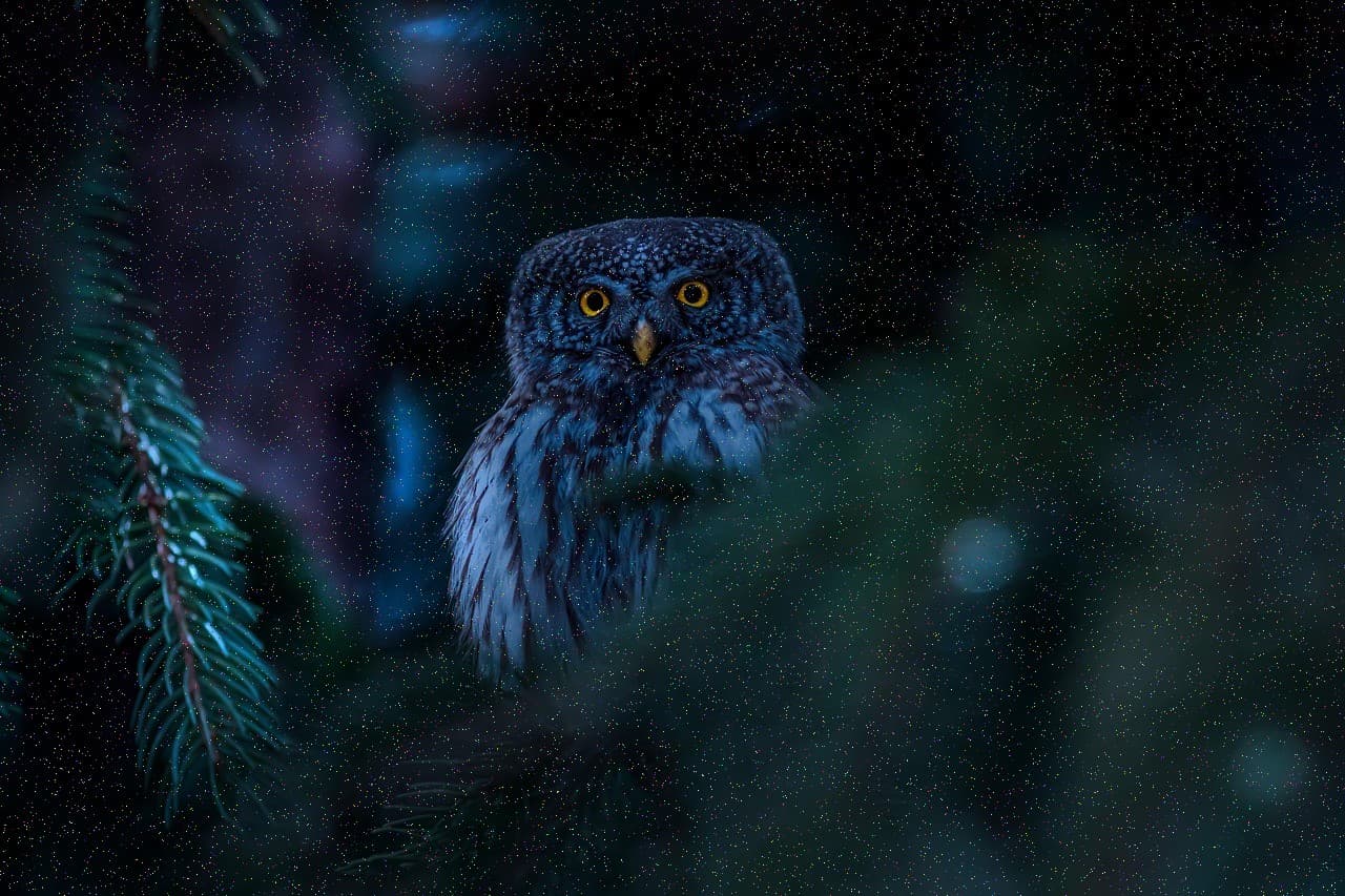 Товар в отличном состоянии #469