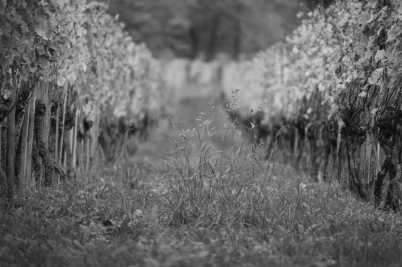 Срочно продам, цена снижена #473