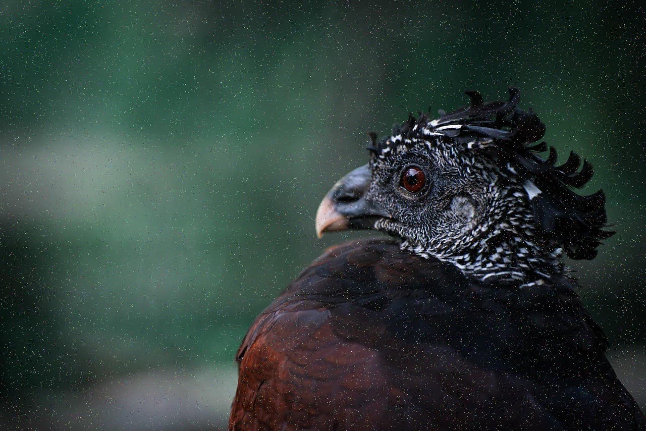 Товар в отличном состоянии #478