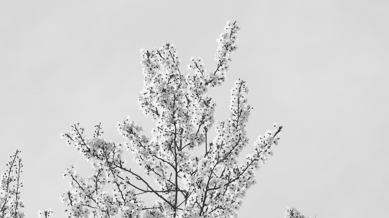 Товар в отличном состоянии #489