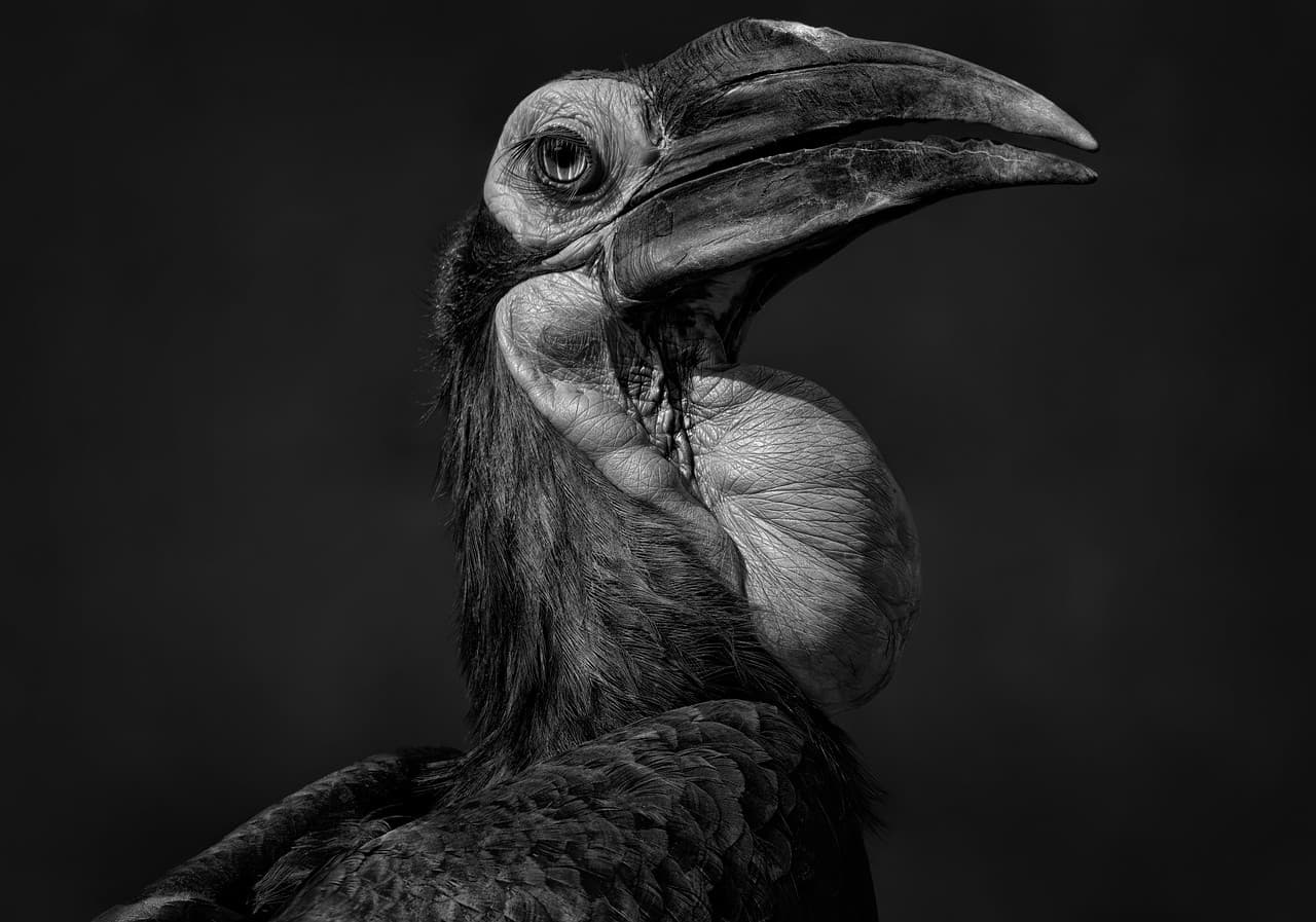 Товар в отличном состоянии #500