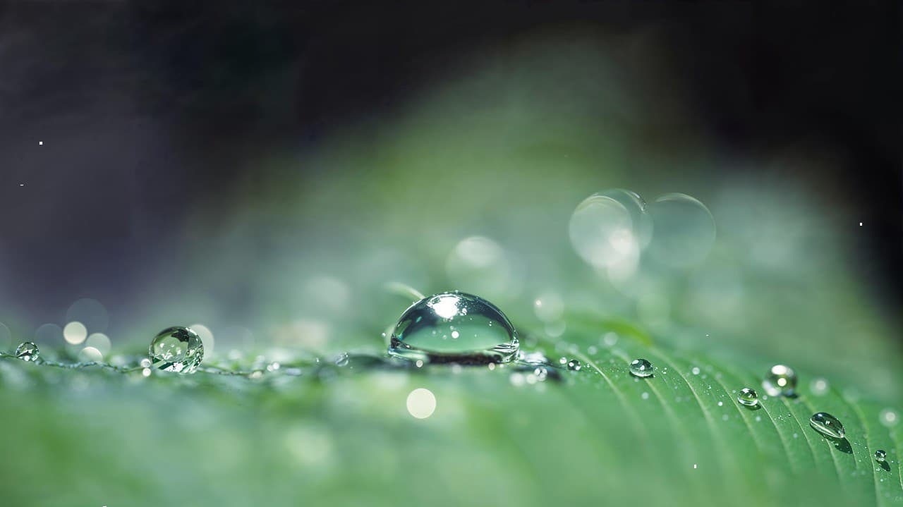 Товар в отличном состоянии #503