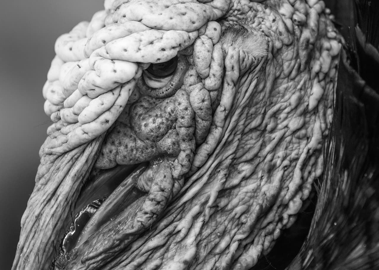 Товар в отличном состоянии #509