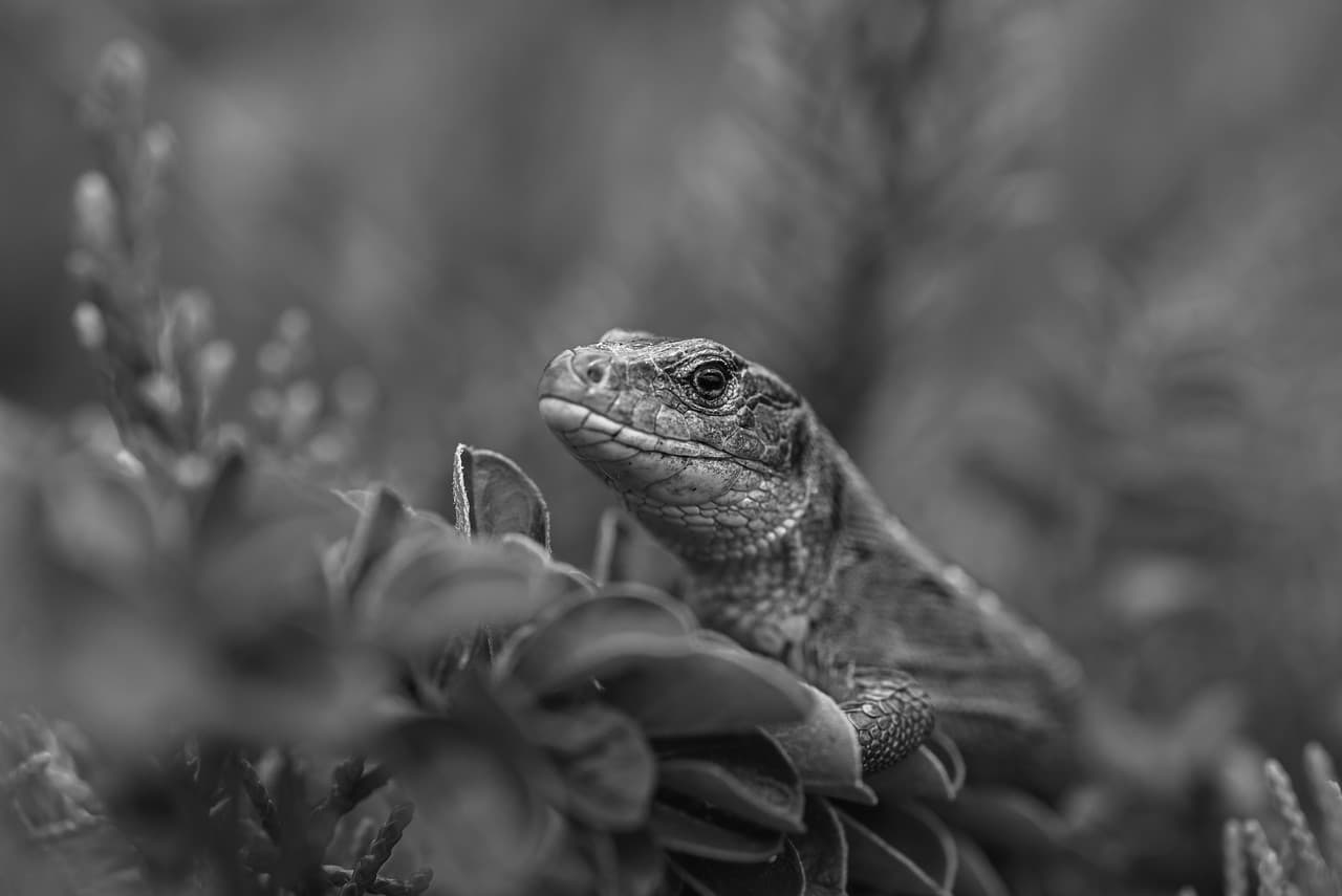 Новинка в нашем магазине #534