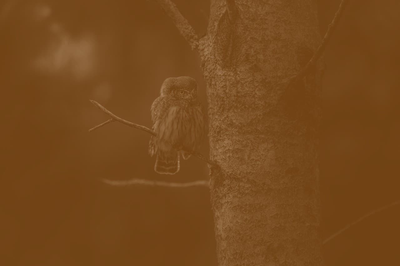 Срочно продам, цена снижена #536