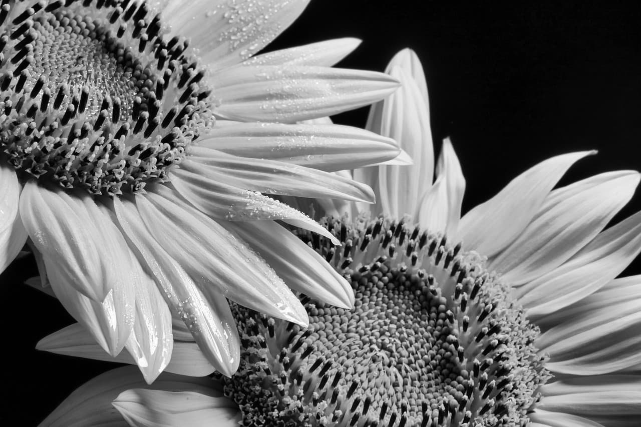 Товар в отличном состоянии #58